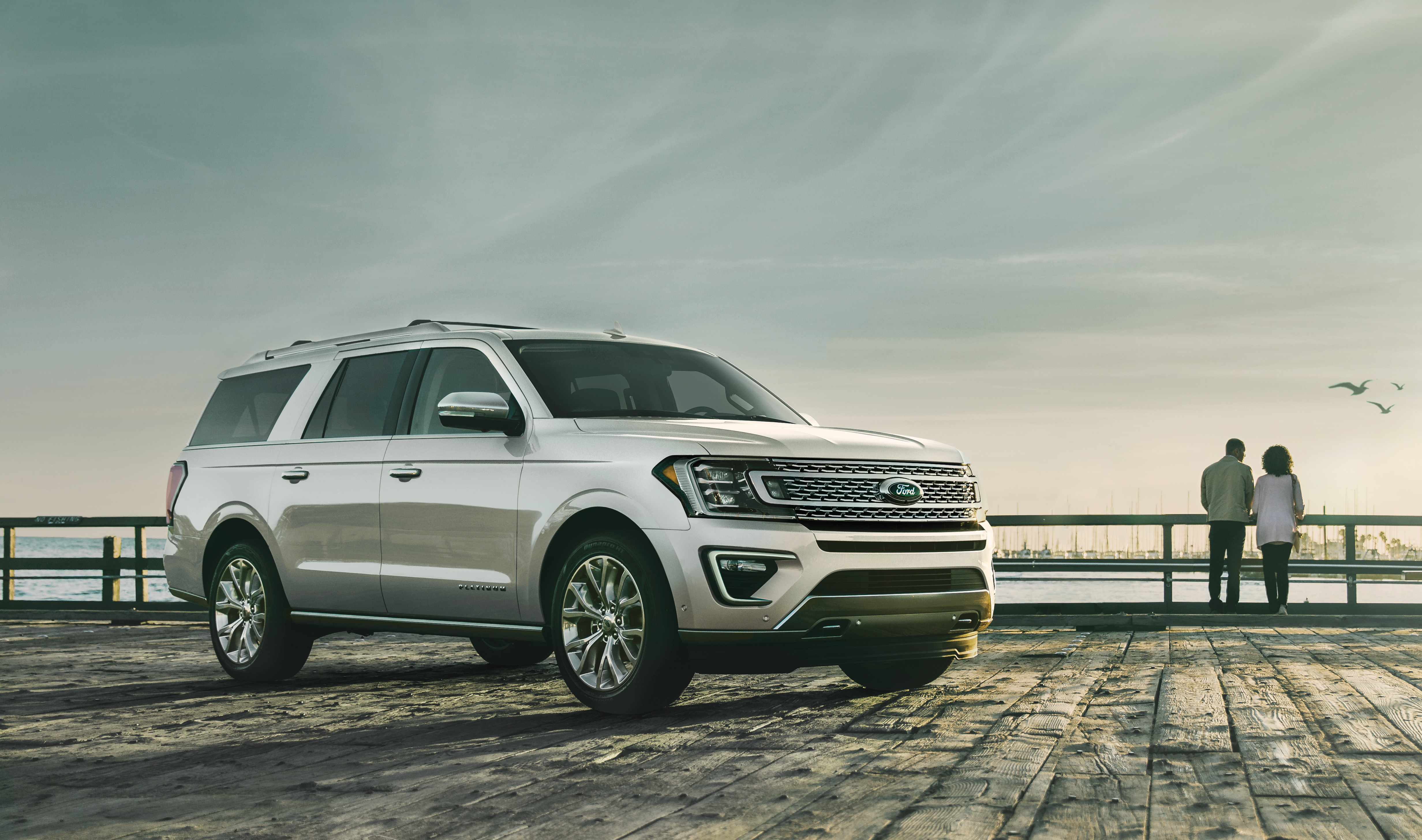 2019 Ford Expedition Platinum parked in sand