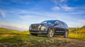 a Hyundai Palisade parked in a scenic grassy area