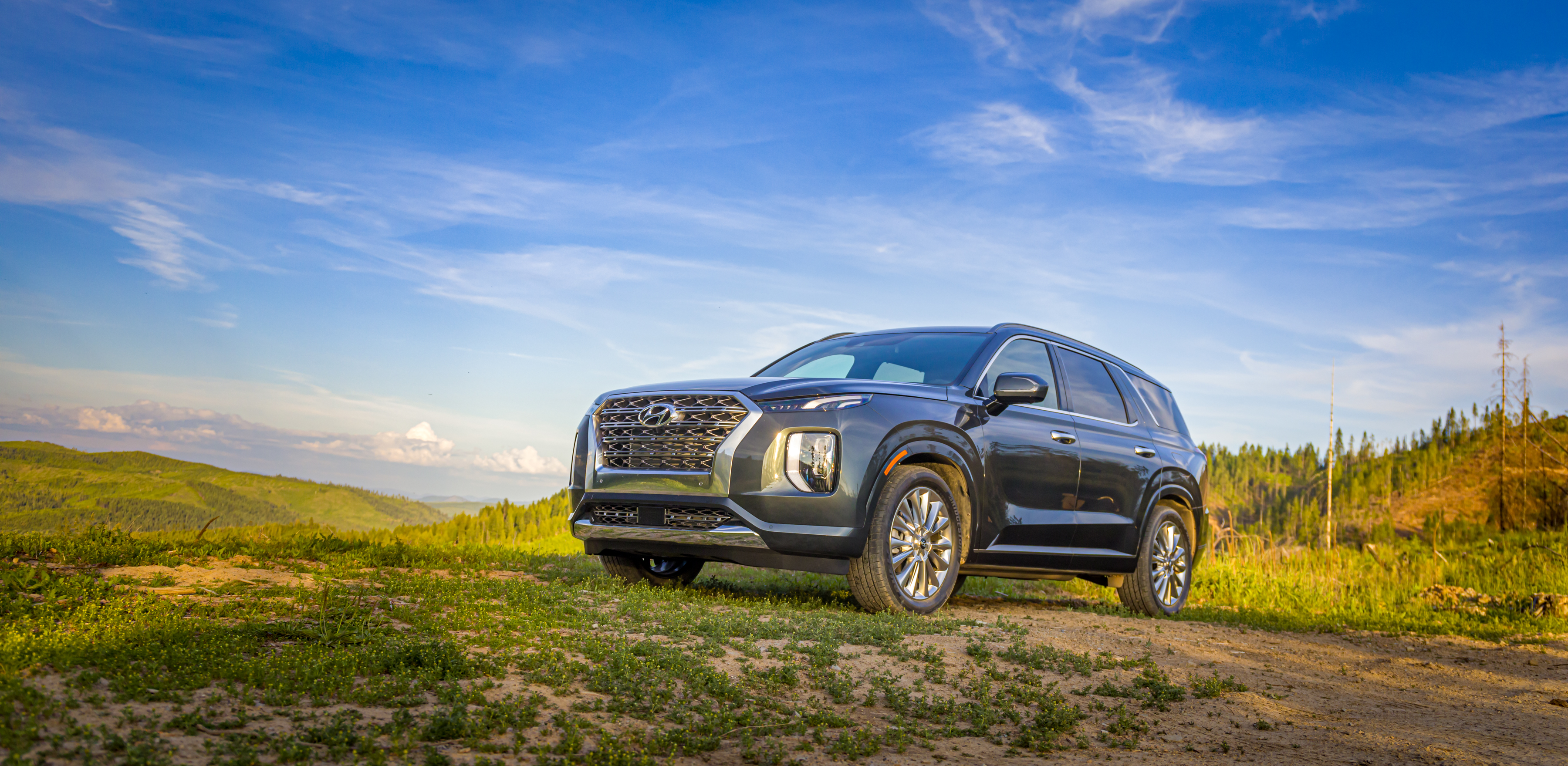 A Hyundai Palisade SUV parked on a grassy hill in the wilderness