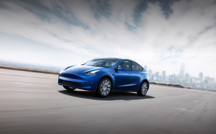 Tesla Model Y: How Much It Will Cost and When It Will Be Released