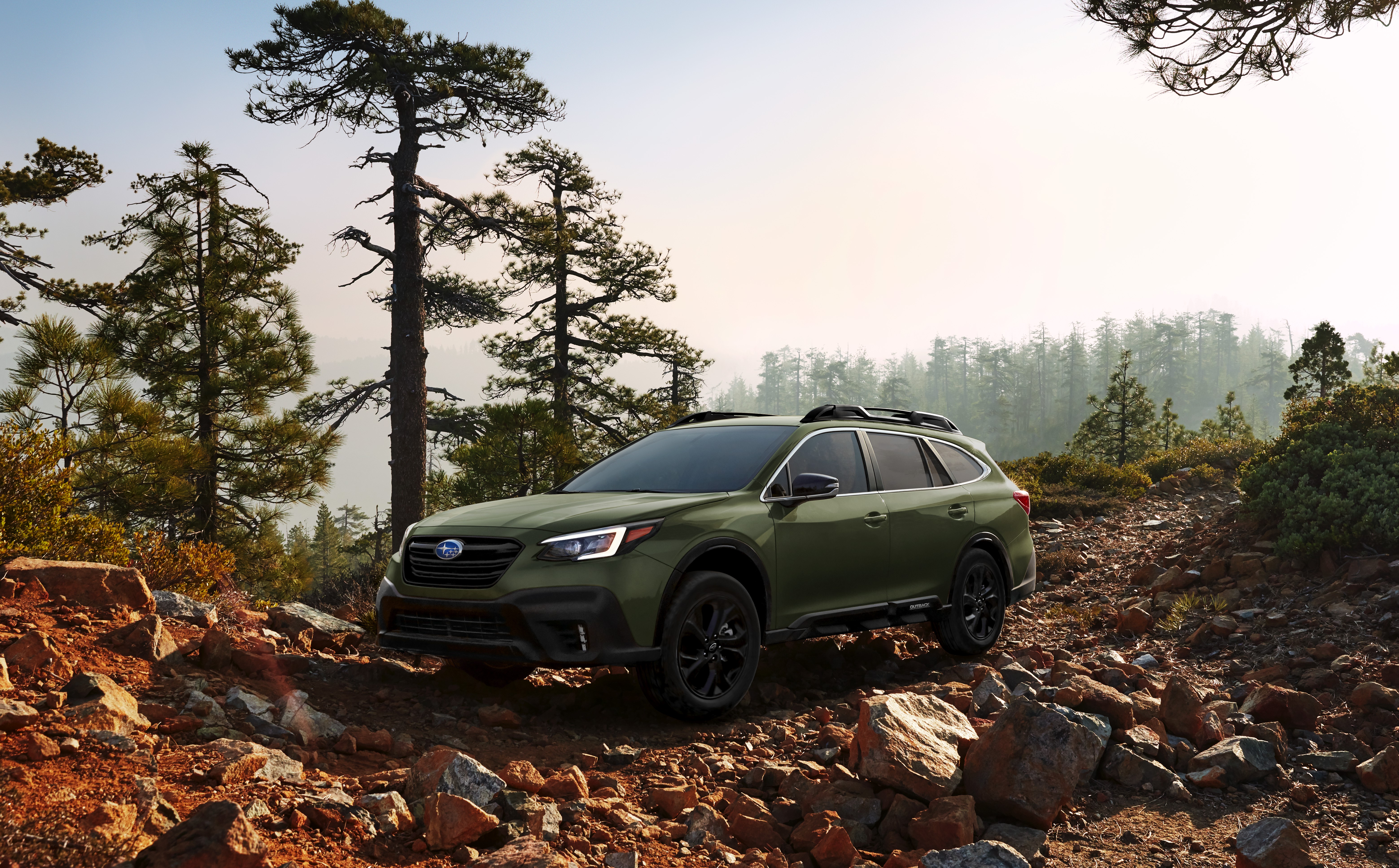 A 2020 Subaru Outback parked off-roading in a forest.