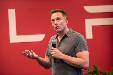 Does Elon Musk Own a Gas-Powered Car?