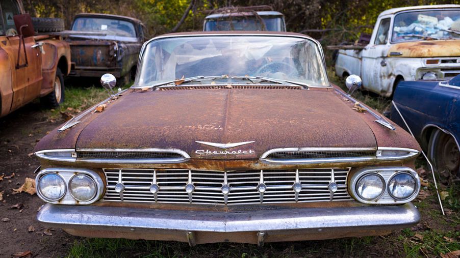 Abandoned Autos - rusty cars