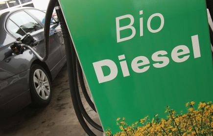 What Is Biodiesel?