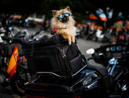 4 Affordable and Practical Motorcycle Accessories
