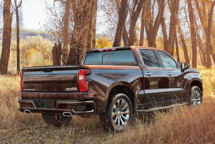 2020 Chevy Silverado Pickup Truck in the woods 