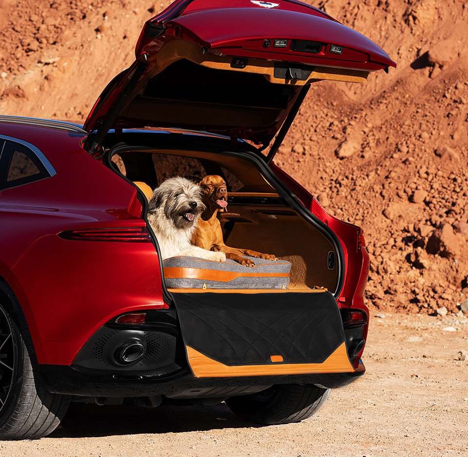 2021 Aston Martin DBX with Dog Pack