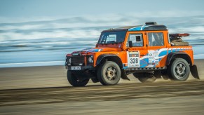 Bowler Bulldog on beach