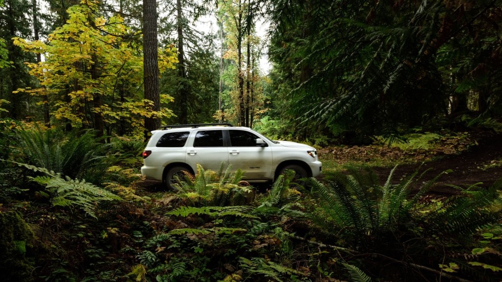 2020 Toyota Sequoia TRD Pro side