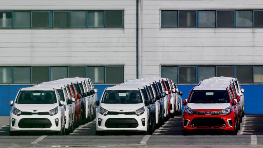 A shipment of Kia cars waiting to be loadd
