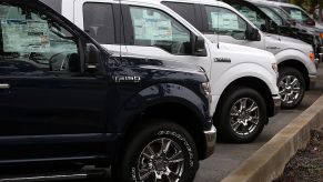 Ford F-150 pickup trucks lined up on a sales lot