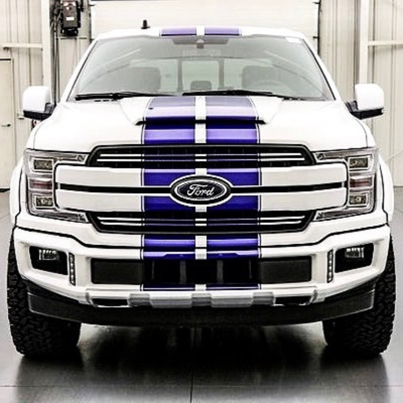 2019 Ford F150 LM650 front