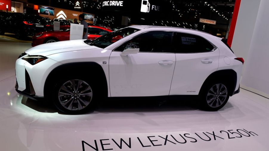The new Lexus UX 250h is exposed at the 97th Brussels Motor