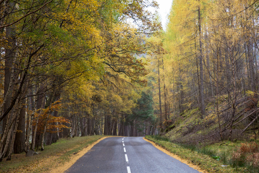 Open road in fall