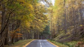 Open road in fall