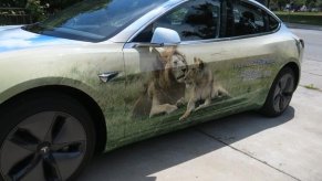 Safari Themed 2017 Tesla Model 3