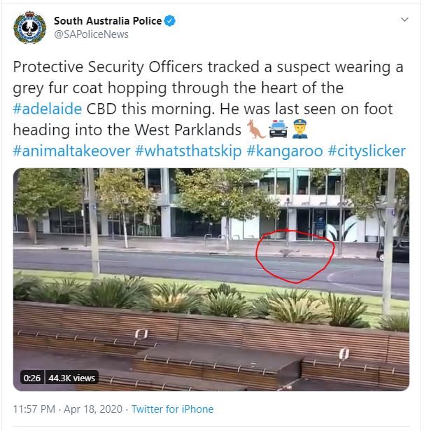 South Australia Police account tweet
