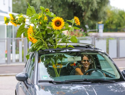 Want to Soak up the Summer Sun? Check out These Sunroofs