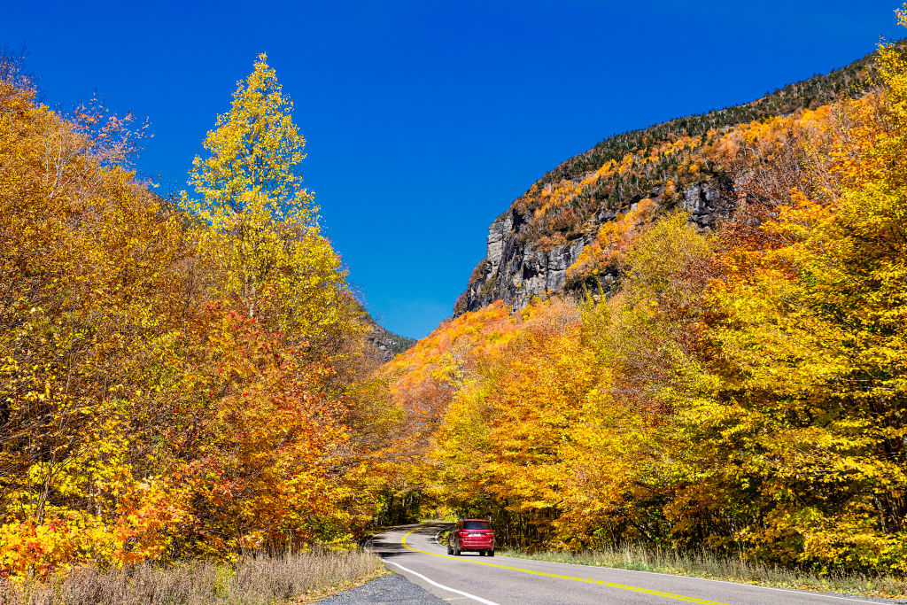 scenic autumn road trip
