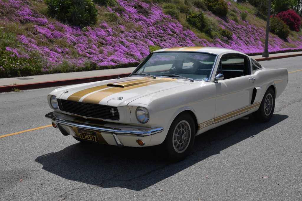 White-with-gold-stripes 1966 Ford Shelby GT350H Mustang parked on hill road next to flowers