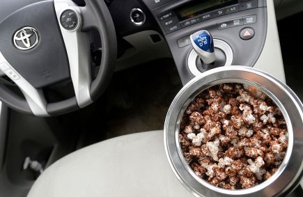 Leaving Food In Your Car Can Be Dangerous and Possibly Damaging