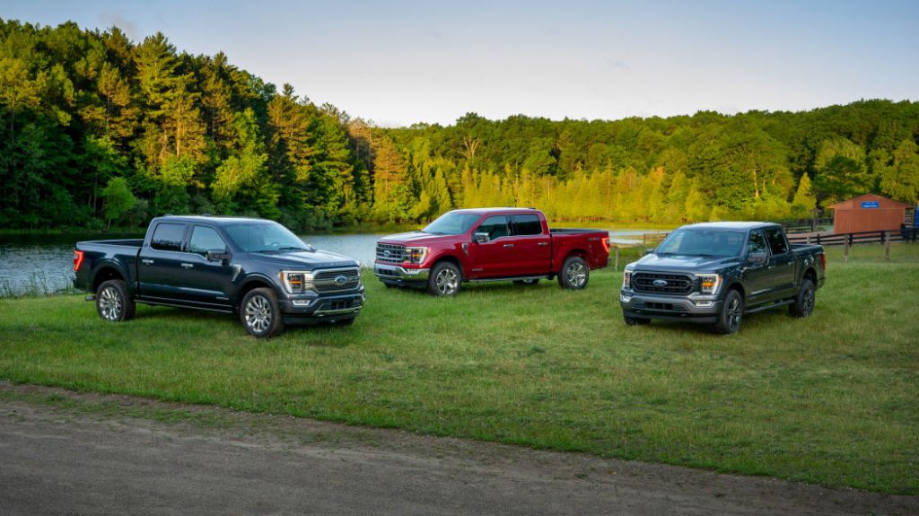 2021 Ford F-150 models parked in a field