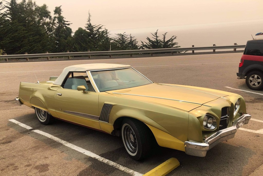 freak show friday custom Cougar