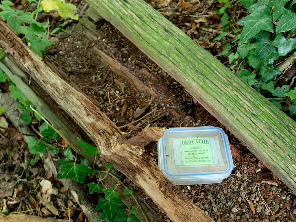 Geocache box hidden in a old log on the Chettle Estate, Dorset, UK. (Photo By: Education Images/Universal Images Group via Getty Images