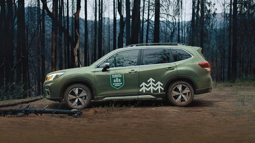a designated Subaru Forester re-foresting vehicle with special forestry badging in the woods
