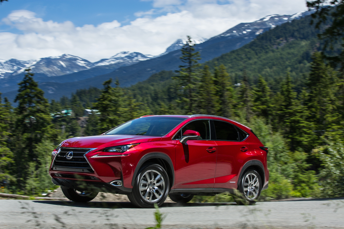 2020 Lexus NX 300h parked near the mountains and lots of trees