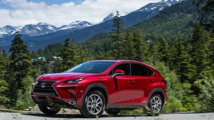 2020 Lexus NX 300h parked near the mountains and lots of trees