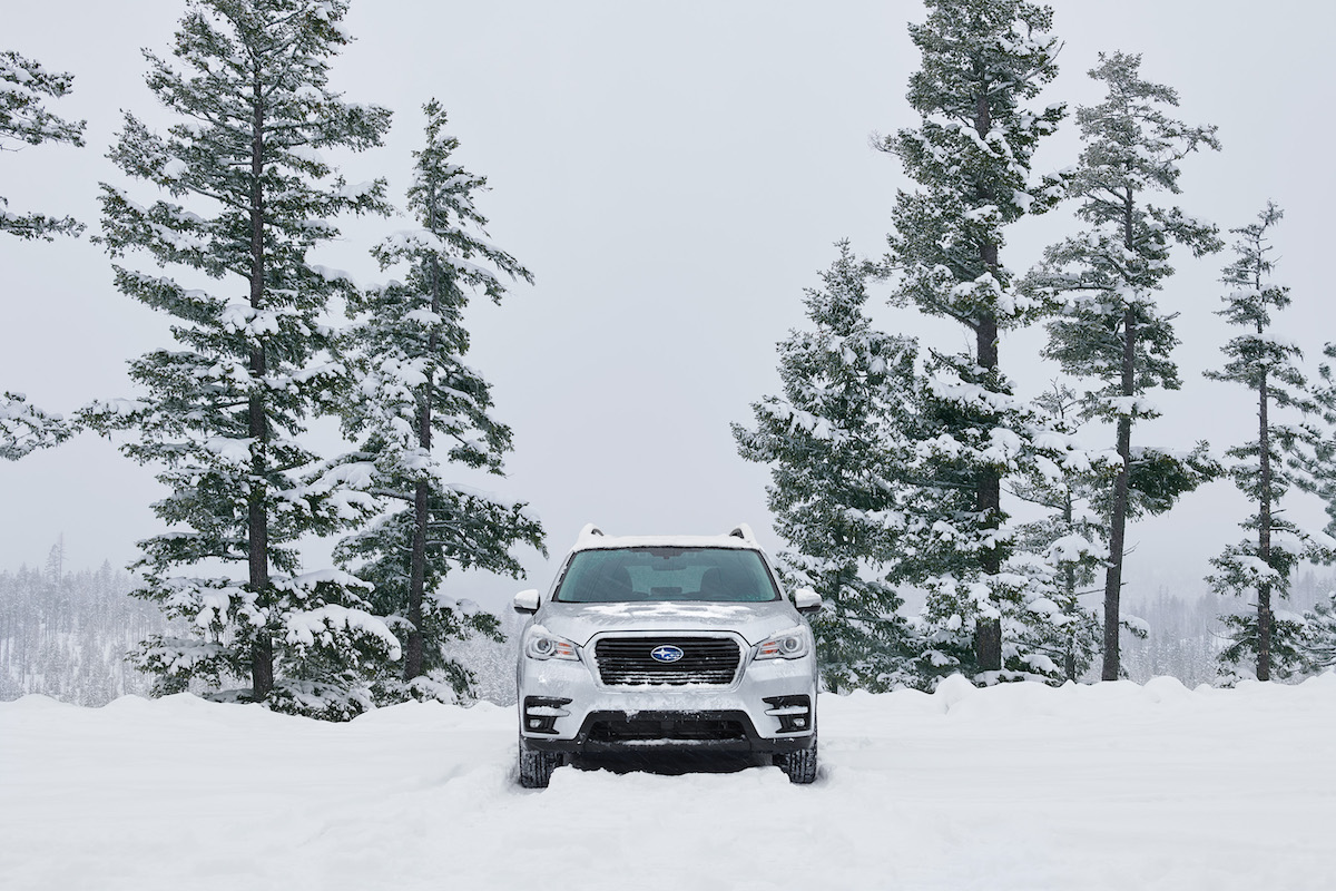 2020 Subaru Ascent Limited in a snowy forest