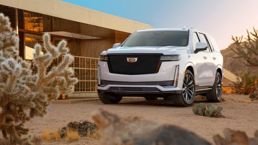 2021 Cadillac Escalade parked in a desert landscape with a cactus