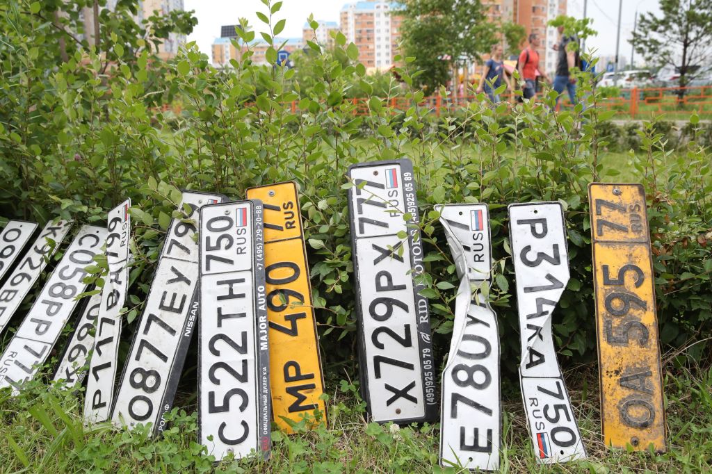 An assortment of Russian license plates with different numbers by a bush