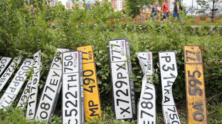An assortment of Russian license plates with different numbers by a bush