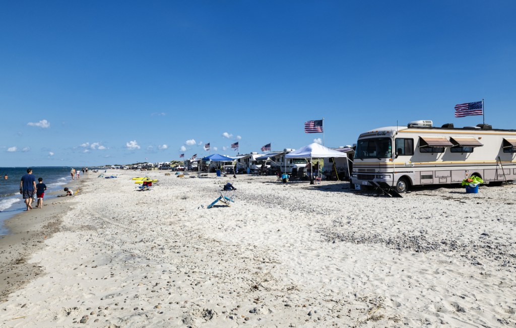 RVs parked at a beach campground