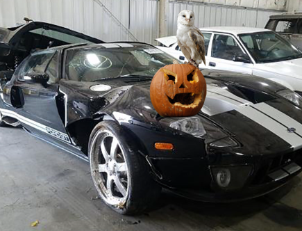 Halloween Car Horror: Wrecked Exotics