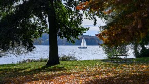 A sailing boat sails in sunny autumn weather past brightly coloured trees near Gatow on the Havel