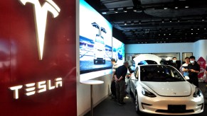 People checking out a Tesla on display at a dealership