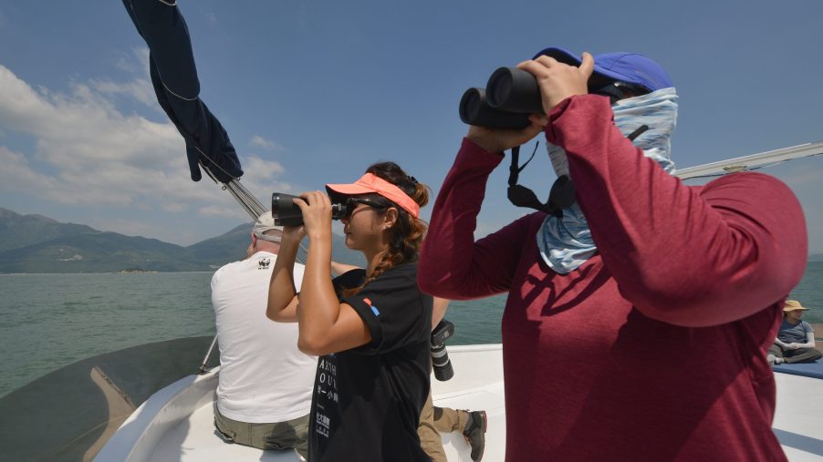 three people on boat looking through binoculars for marine wildlife