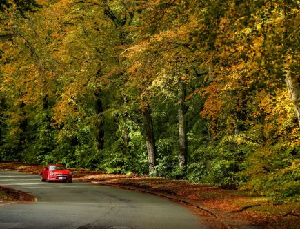 4 Great Convertible Roadsters to Enjoy Fall to the Fullest