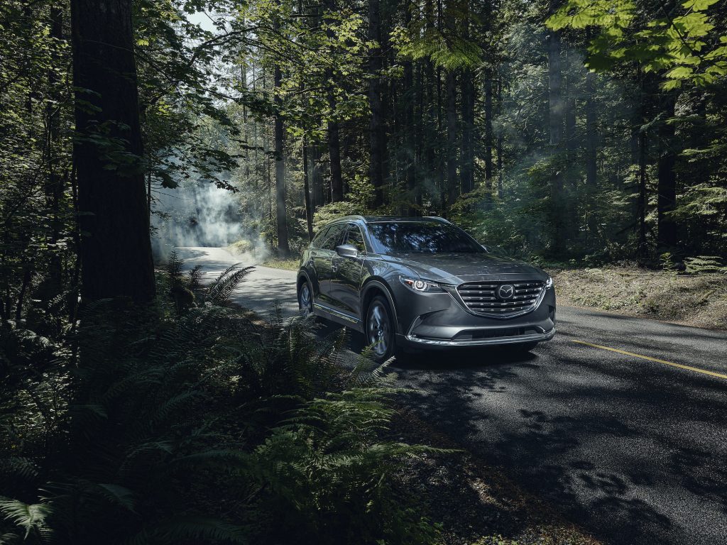 2021 Mazda CX-9 on a road through the woods