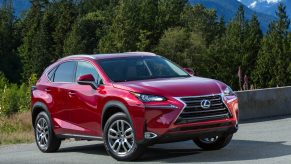 A red Lexus NX on the track.