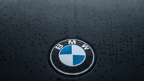Drops of water can be seen after a rain shower on the logo and the hood on a BMW 520d