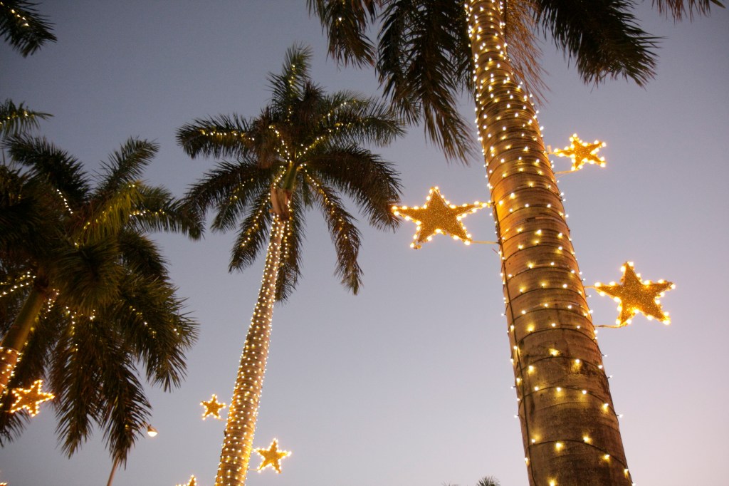 RV Holiday Decor Ideas: Palm Trees wrapped in Christmas lights