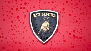 Badge Logo of Lamborghini Countach 5000 Quattro Valvole
