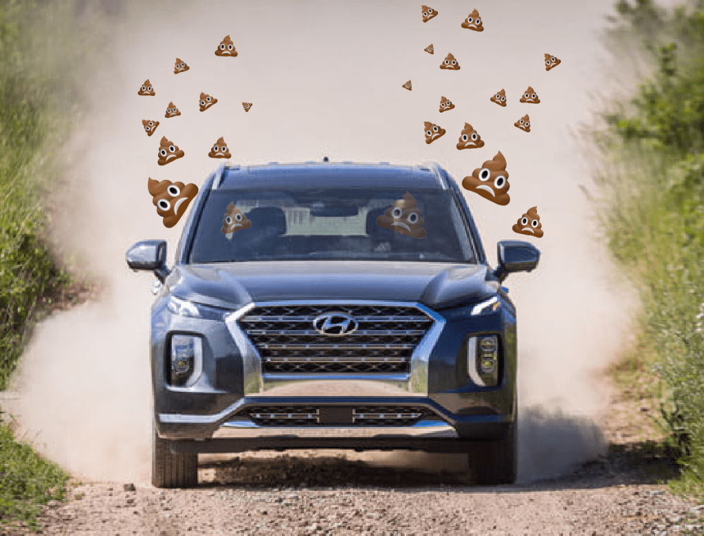 2020 Hyundai Palisade Odor
