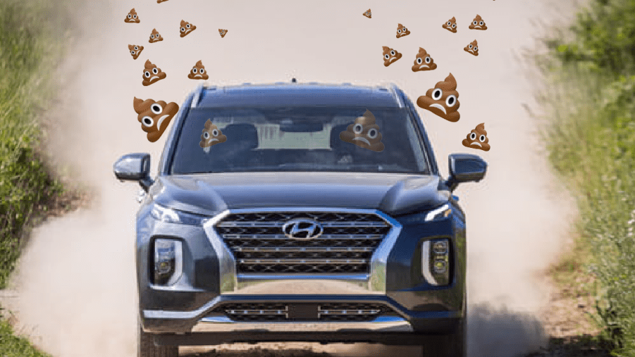 2020 Hyundai Palisade Odor