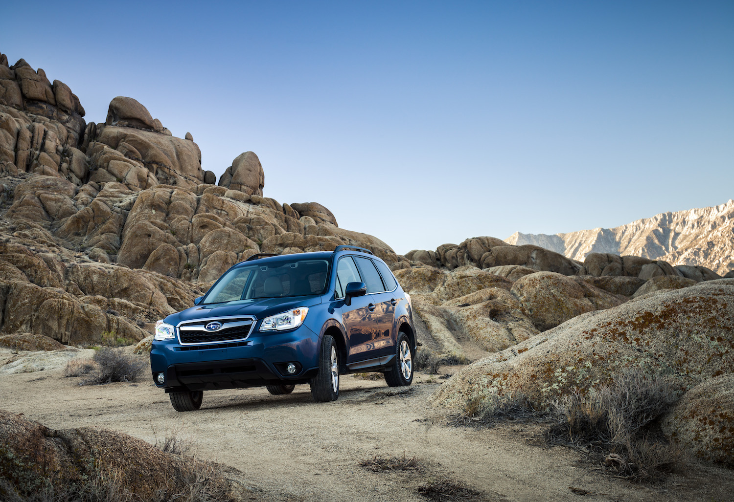 Buying a Used Subaru Forester Here s What You Need to Know