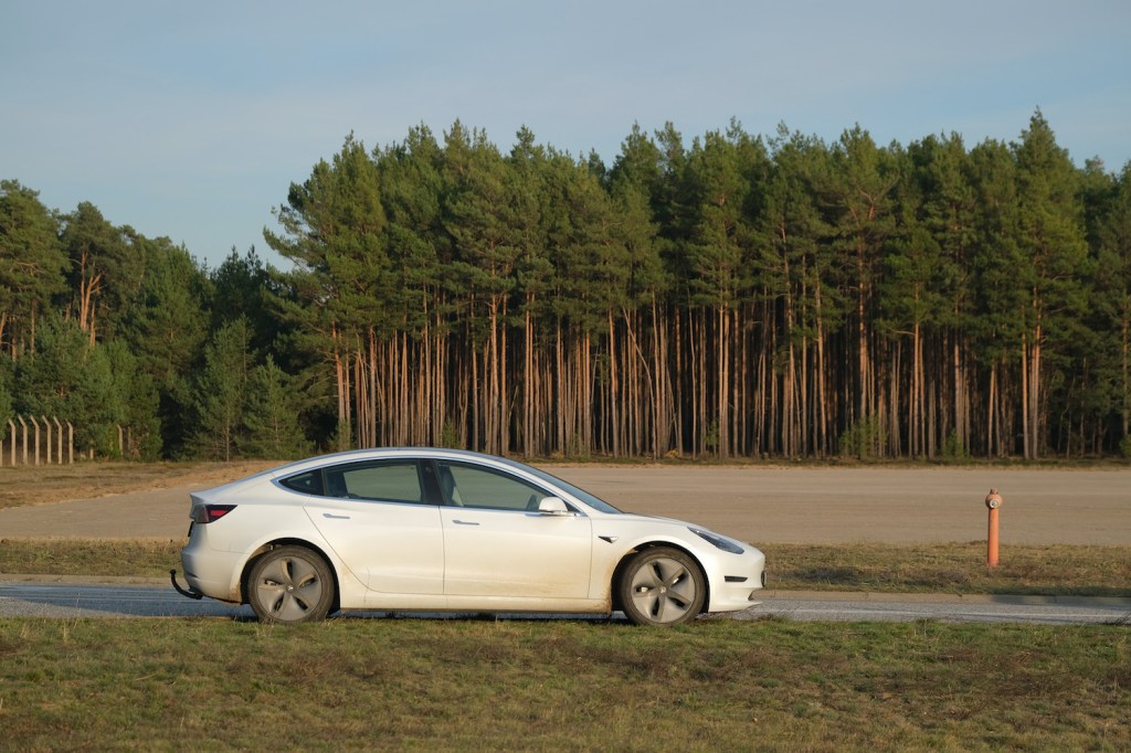 2019 Tesla Model S parked near trees
